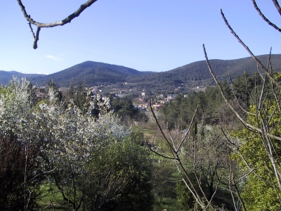 maison locations de vacances Saint Florent sur Auzonnet